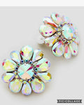 Iridescent Clip Ons